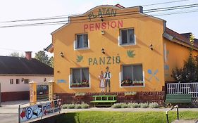 Platan Panzio